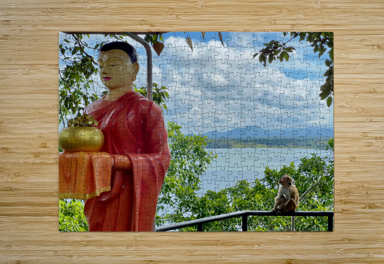 The Monkey and the Monk Jimmy Roy Photos Puzzle printing