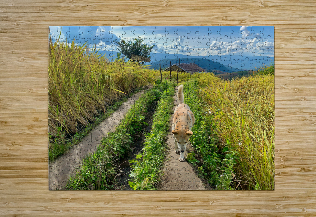 Vagabond Dog Jimmy Roy Photos Puzzle printing