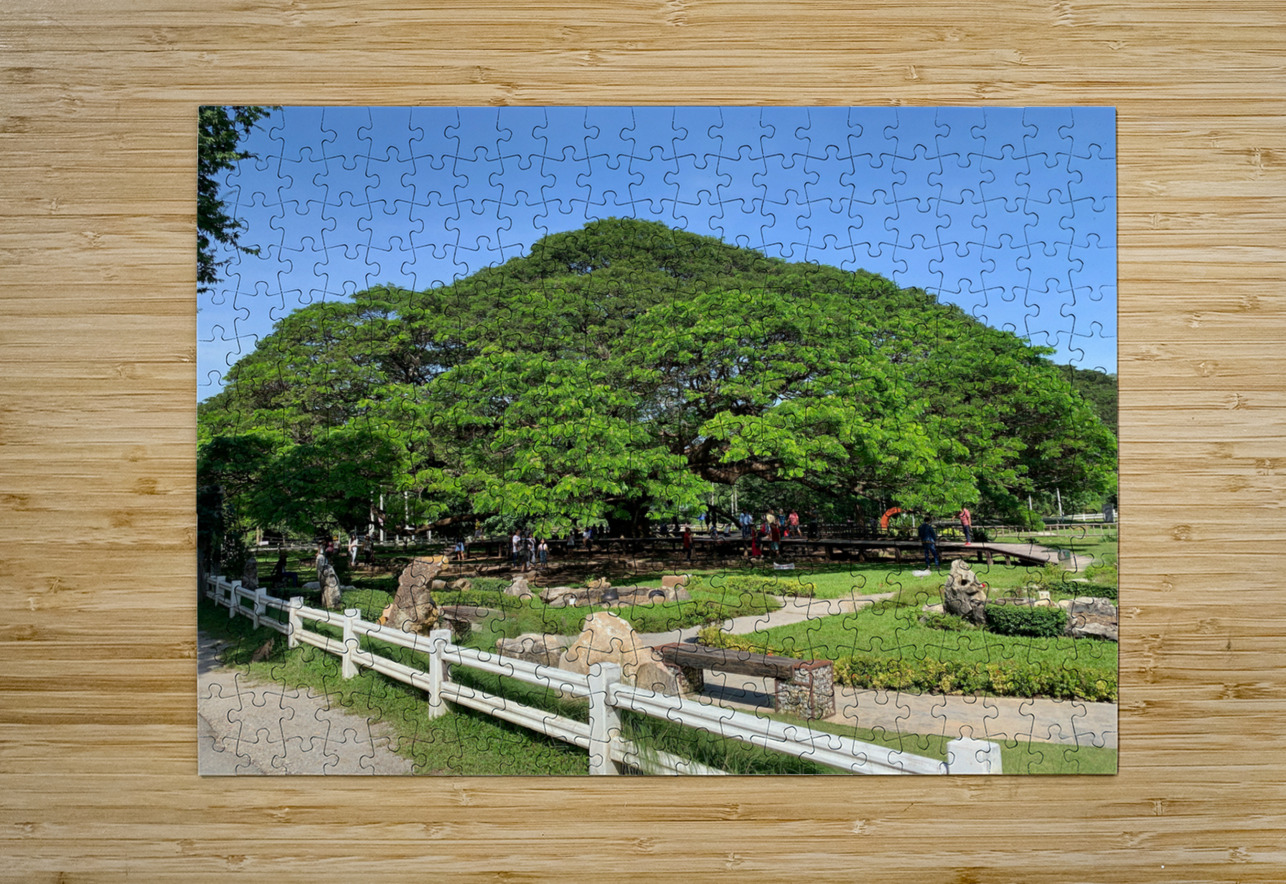 Giant Raintree 1 Jimmy Roy Photos Puzzle printing
