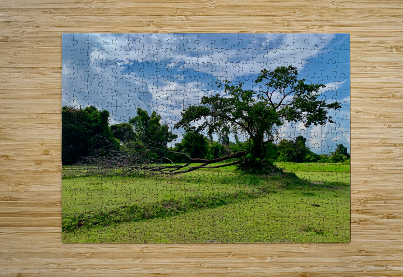 Life  and Death Jimmy Roy Photos Puzzle printing