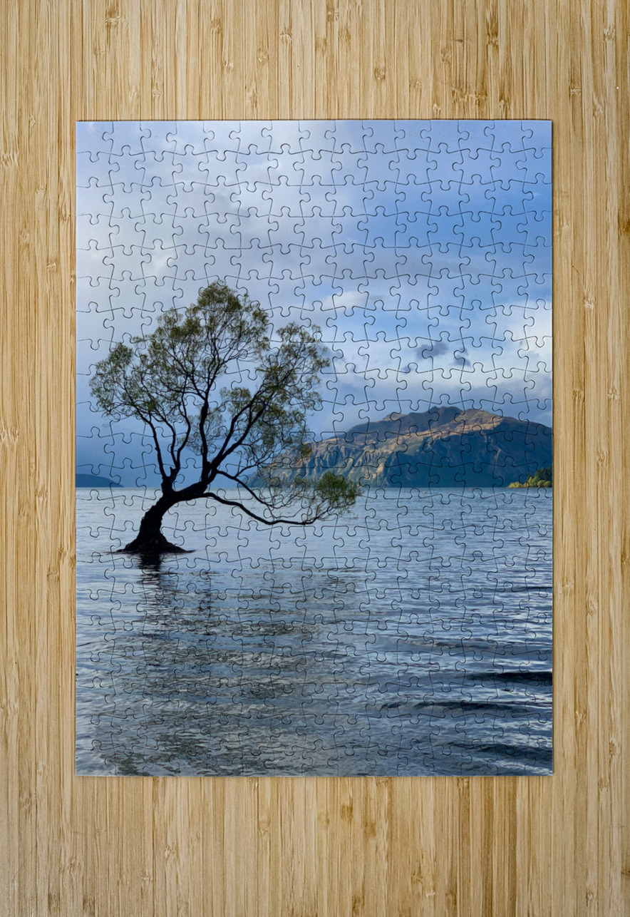 The Wanaka Tree New Zealand 2 Jimmy Roy Photos Puzzle printing