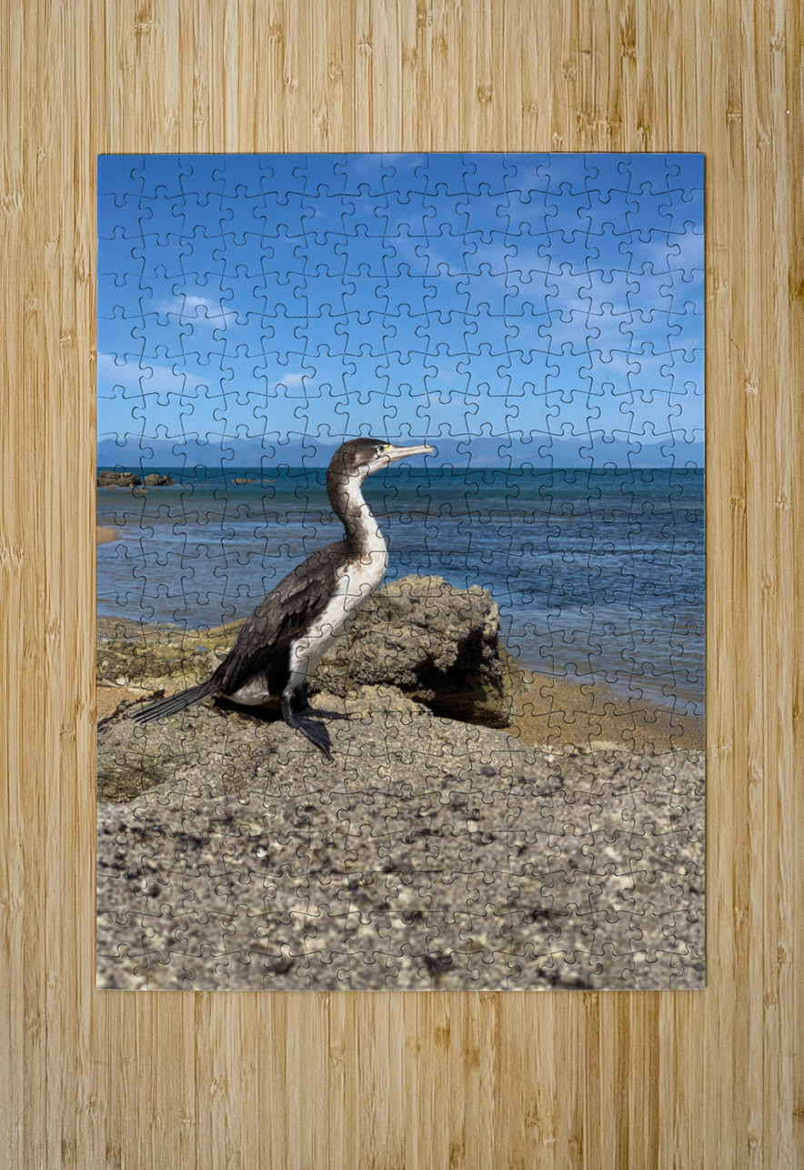 Bird Looking Straight Ahead Jimmy Roy Photos Puzzle printing