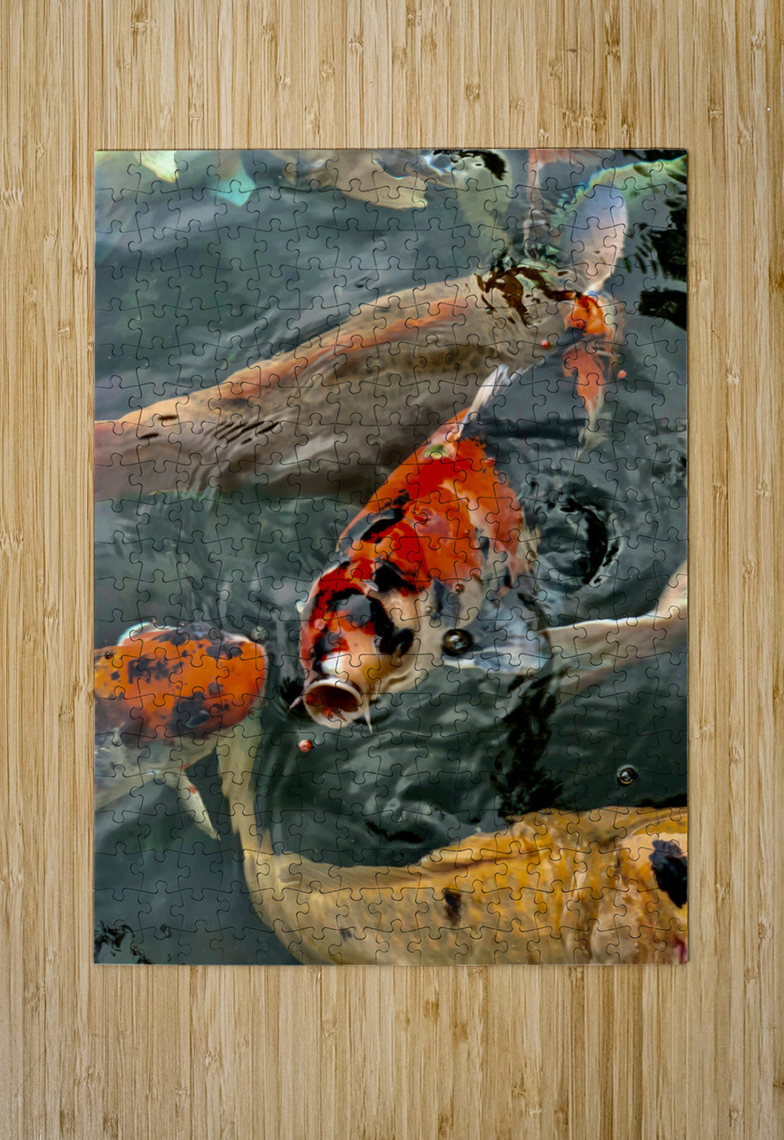 Plenty of Colorful Fish Jimmy Roy Photos Puzzle printing