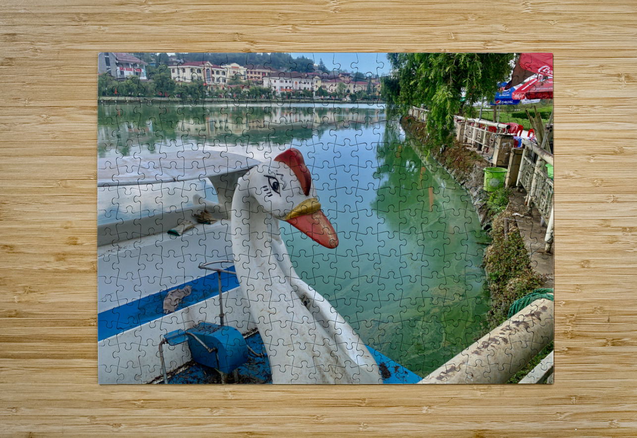 Swan Boat on the Lake Jimmy Roy Photos Puzzle printing