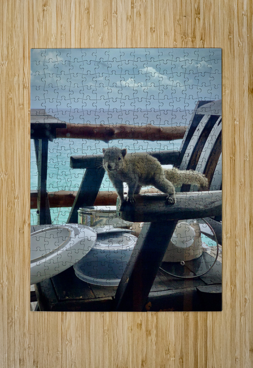 Squirrel Peaking in the House Jimmy Roy Photos Puzzle printing