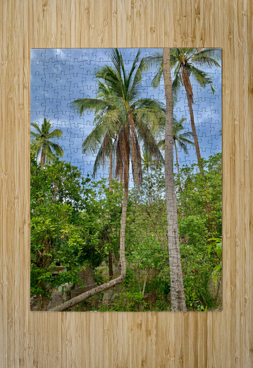 L Palm Tree Jimmy Roy Photos Puzzle printing