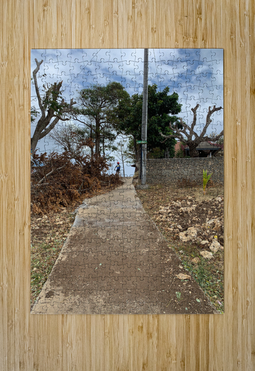 Cycling Up the Hill Jimmy Roy Photos Puzzle printing