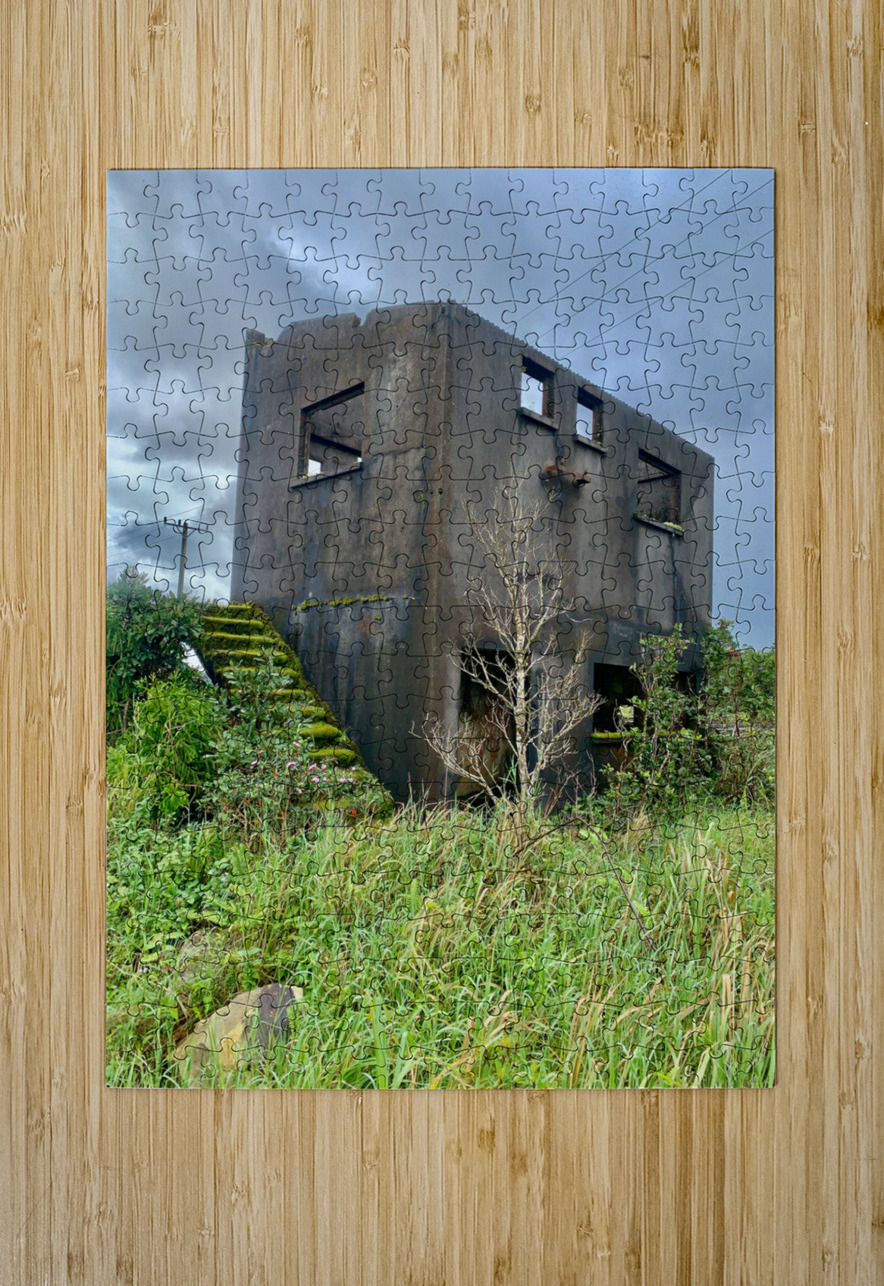 Abandonned House in Bokor Cambodia Jimmy Roy Photos Puzzle printing