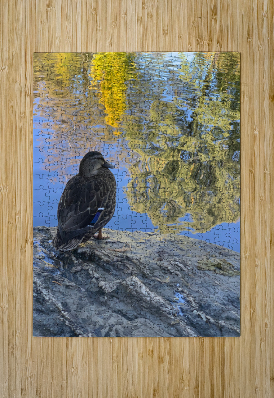 Duck like a Painting Jimmy Roy Photos Puzzle printing