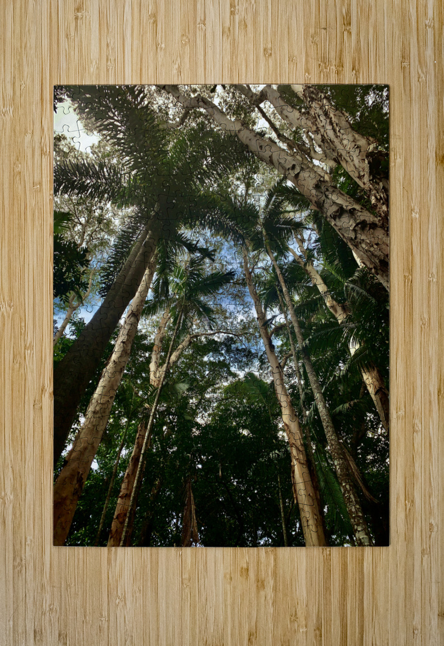 Look Up at the Trees Jimmy Roy Photos Puzzle printing