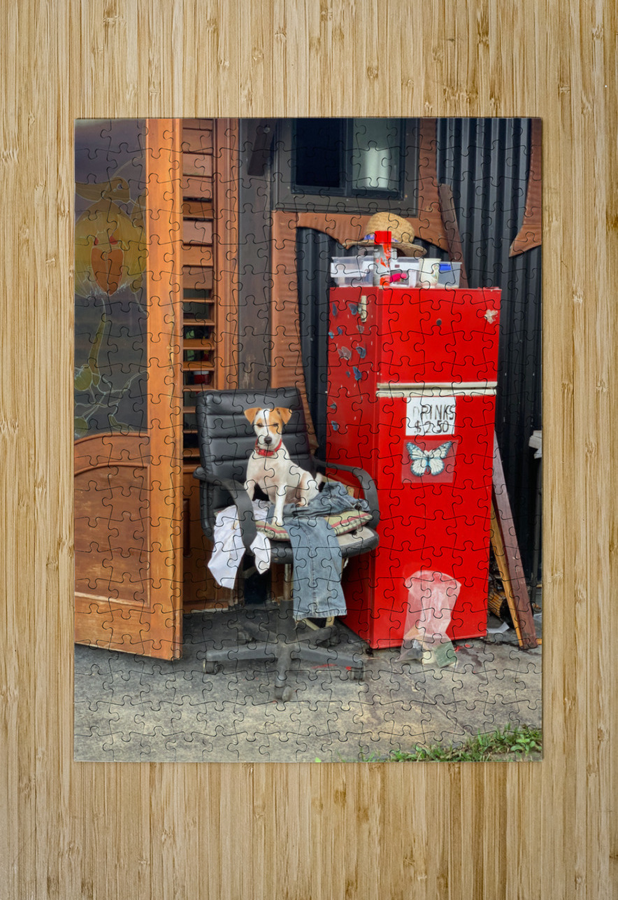The Red Fridge and the Dog 2 Jimmy Roy Photos Puzzle printing