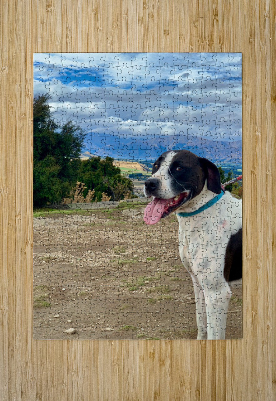 Dog on Mount Iron New Zealand Jimmy Roy Photos Puzzle printing