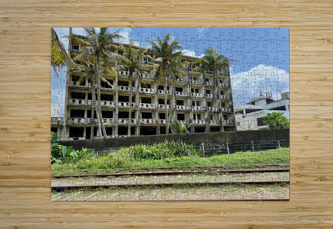 Abandoned Building with Palm Trees Jimmy Roy Photos Puzzle printing