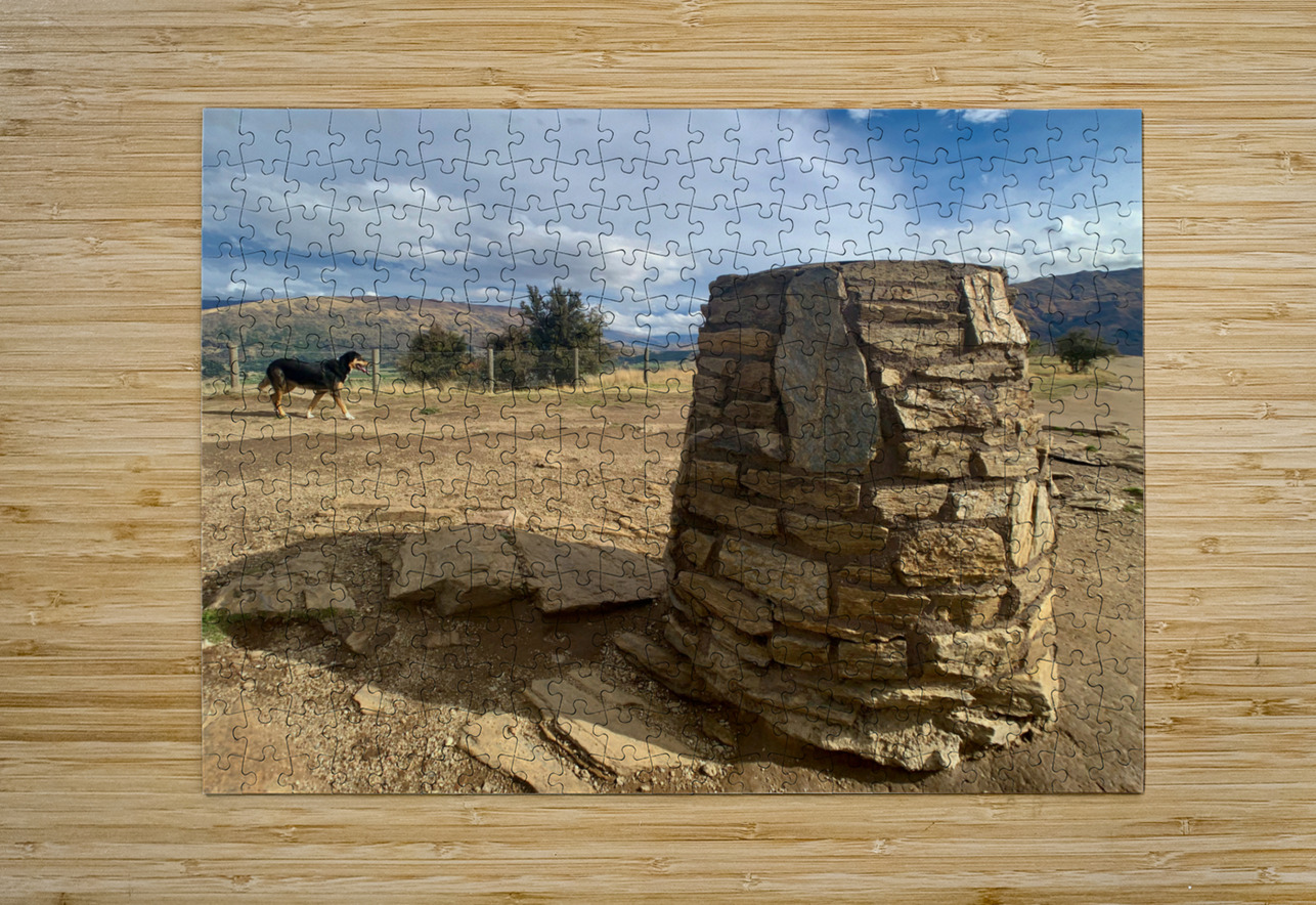 Dog on the Top of Mount Iron New Zealand Jimmy Roy Photos Puzzle printing