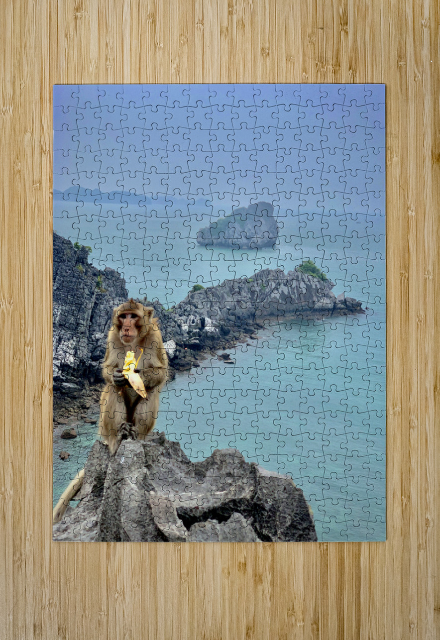 Monkey Eating a Banana Jimmy Roy Photos Puzzle printing