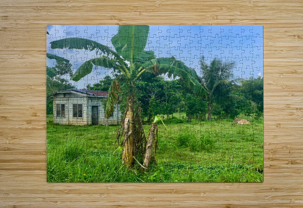 House on the Farm in the Philippines 1 Jimmy Roy Photos Puzzle printing
