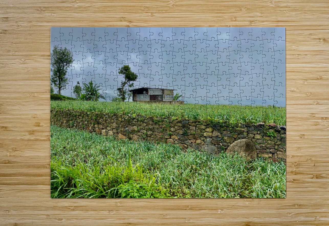 Leveled Field House Jimmy Roy Photos Puzzle printing