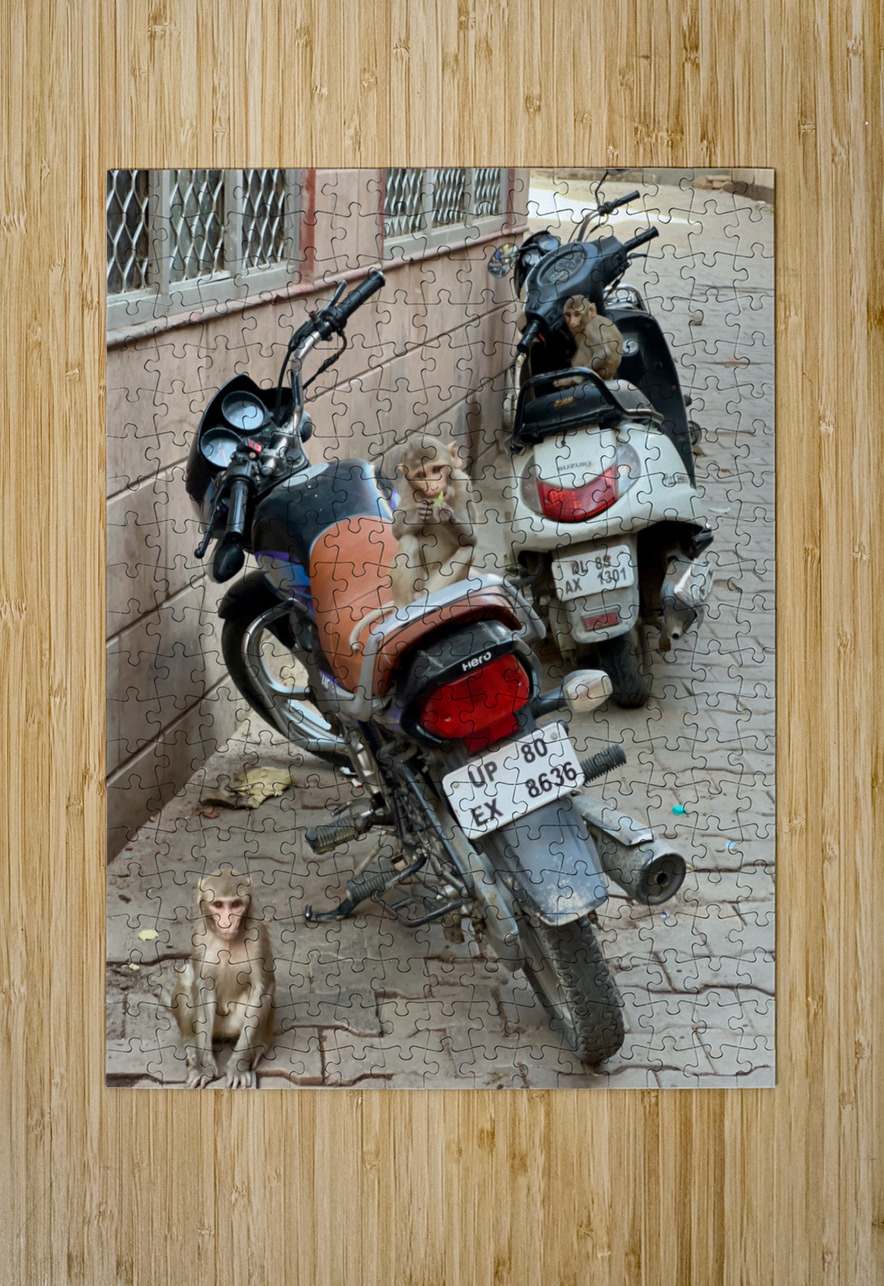 Monkey Bikers Jimmy Roy Photos Puzzle printing