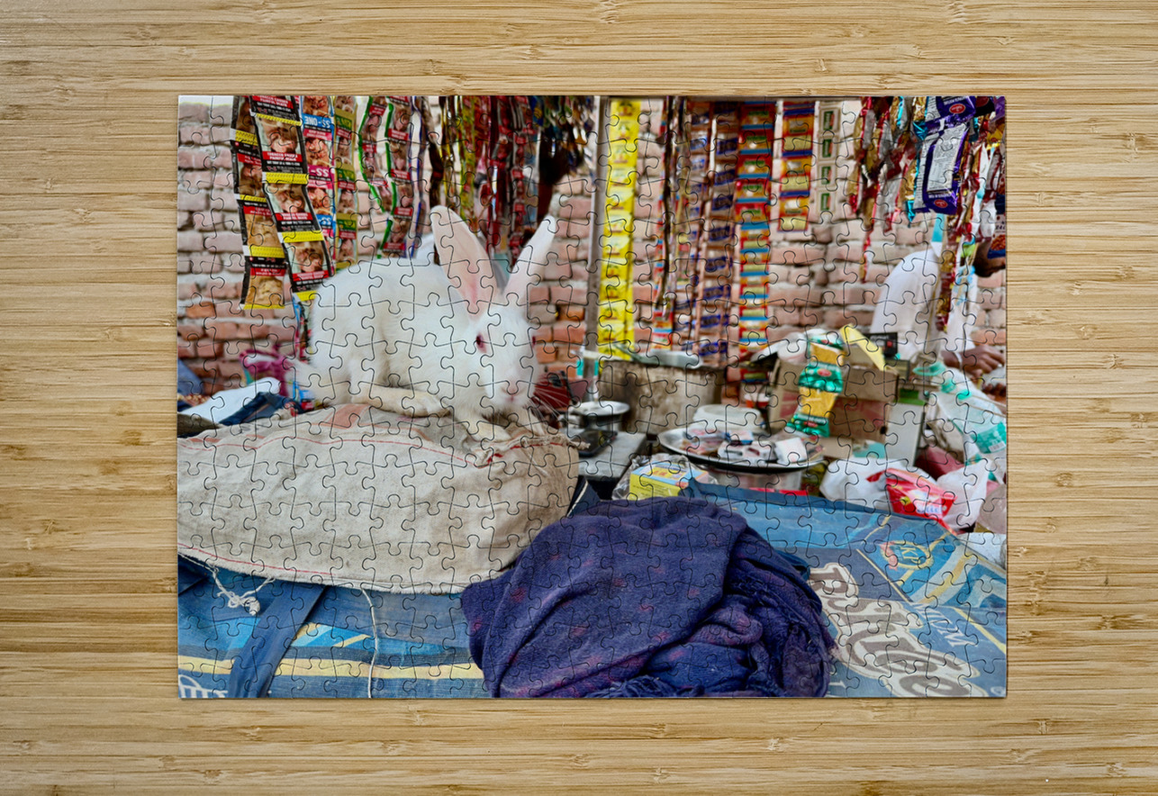 Rabit Magic Jimmy Roy Photos Puzzle printing