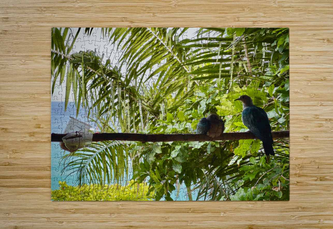 Bird Couple Koh Tao Thailand Jimmy Roy Photos Puzzle printing