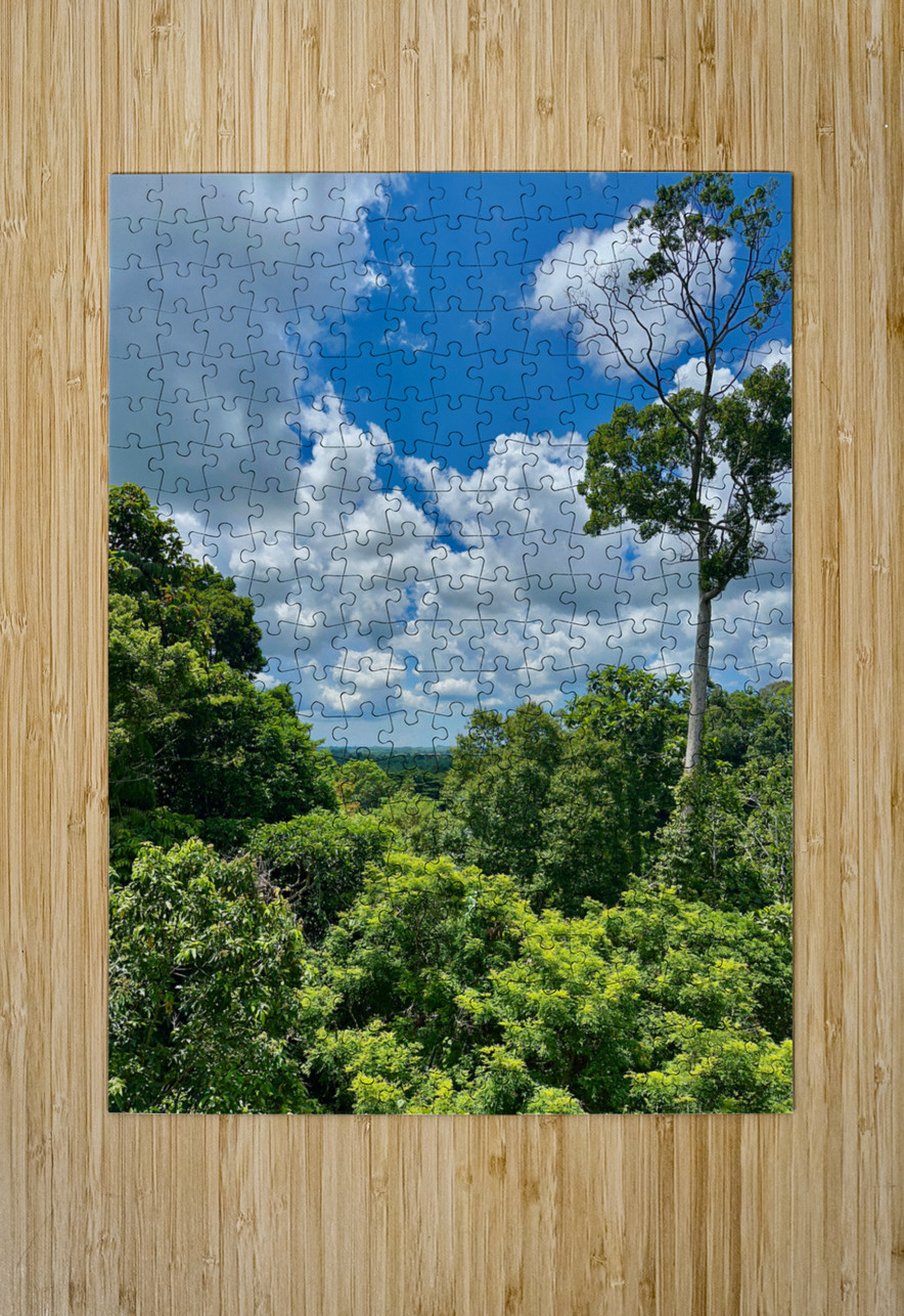 Kabili Sepilok Forest Reserve 1 Jimmy Roy Photos Puzzle printing