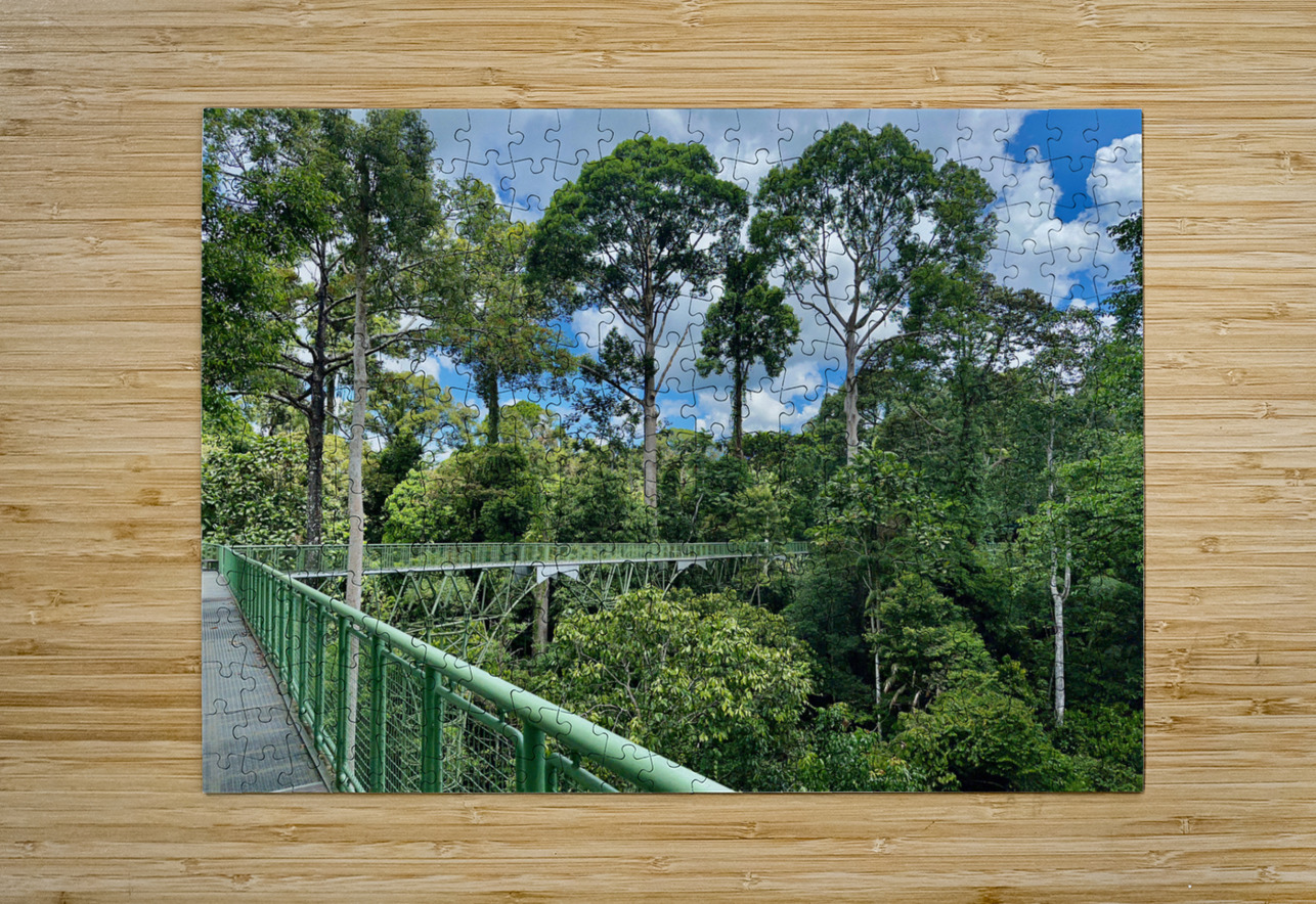 Kabili Sepilok Forest Reserve 2 Jimmy Roy Photos Puzzle printing
