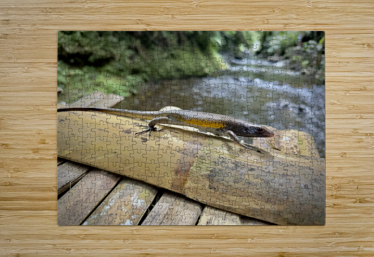 The Lizard Munduk Bali Jimmy Roy Photos Puzzle printing