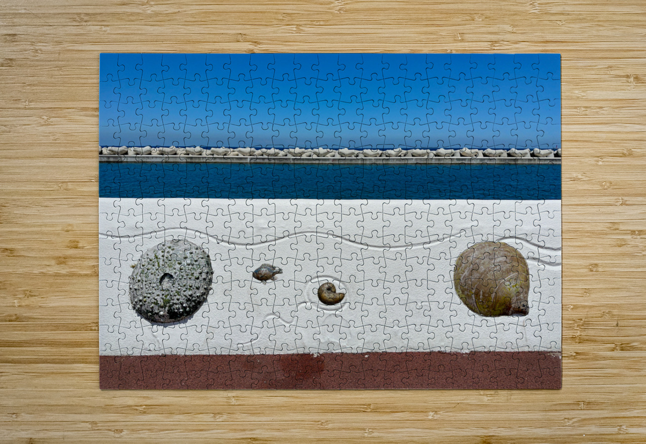 Boardwalk Jeju South Korea 2 Jimmy Roy Photos Puzzle printing