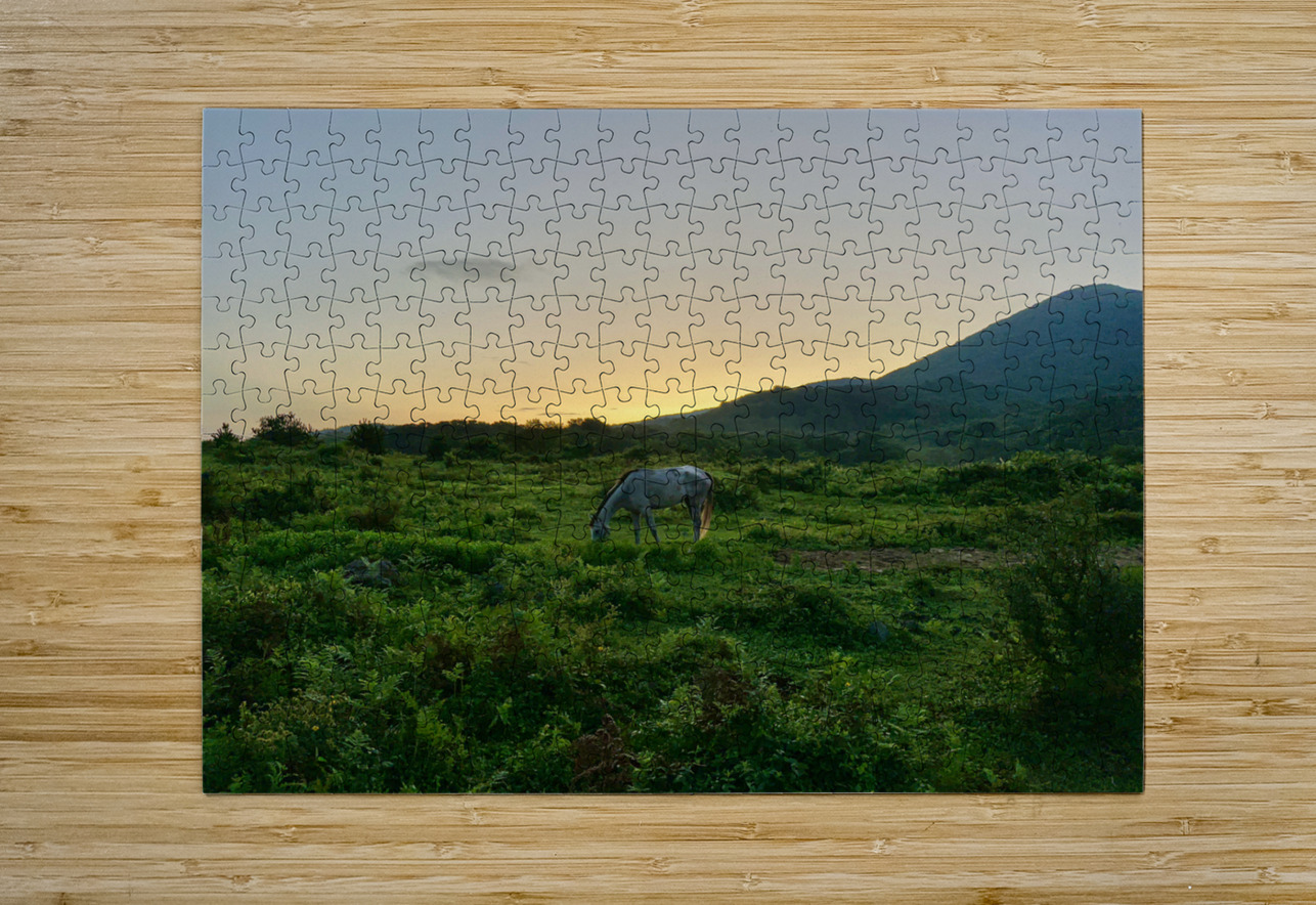 A Horse at Sunrise Jeju South Korea Jimmy Roy Photos Puzzle printing