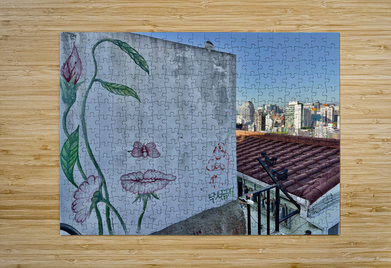Ihwa Mural Village Seoul Korea 6 Jimmy Roy Photos Puzzle printing