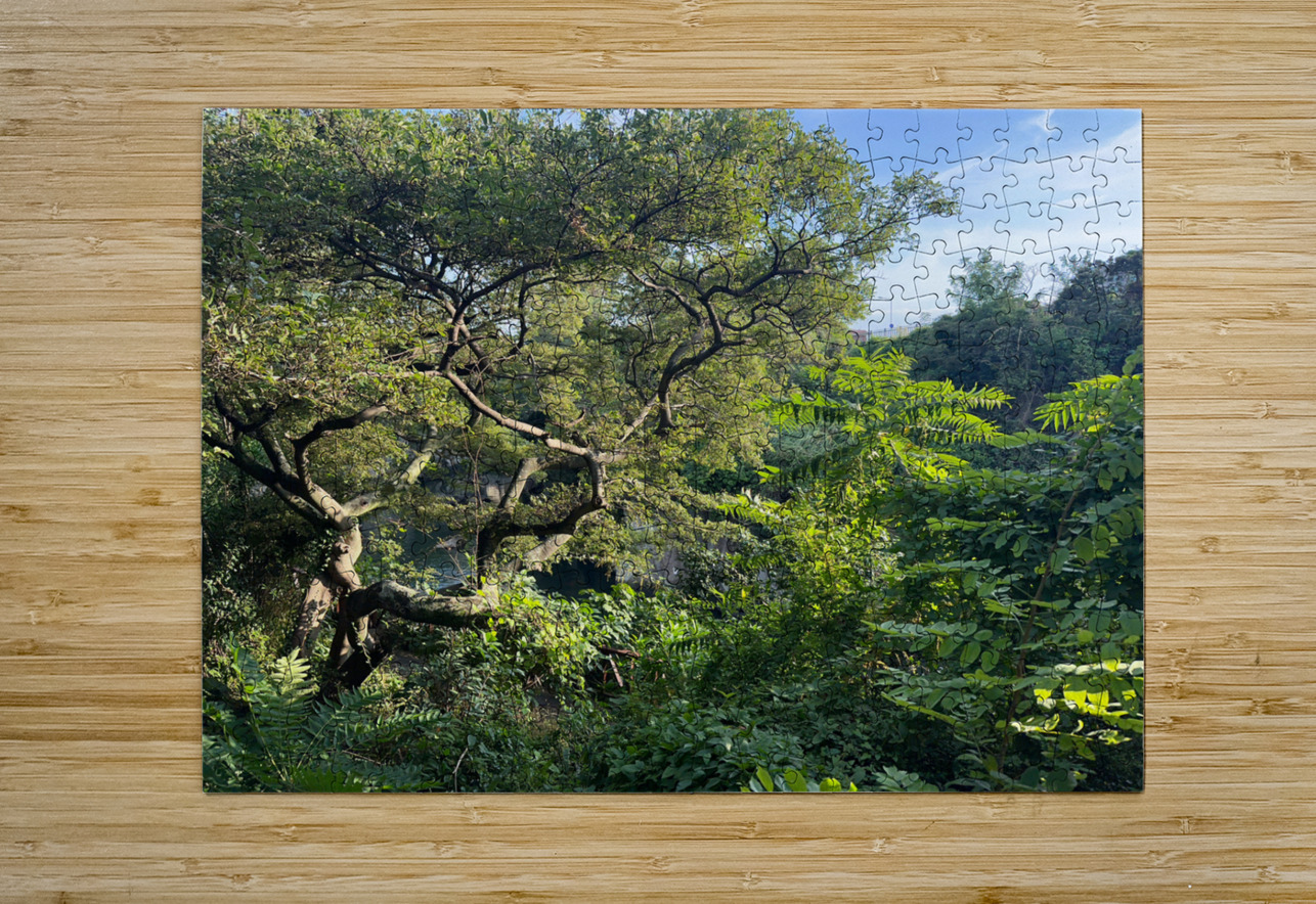 Around Jeju City South Korea 8 Jimmy Roy Photos Puzzle printing