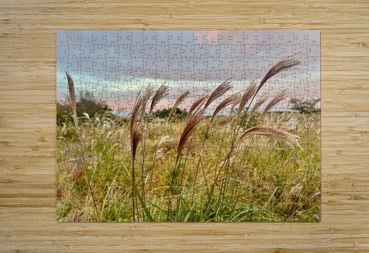 Stone Park Jeju South Korea 10 Jimmy Roy Photos Puzzle printing