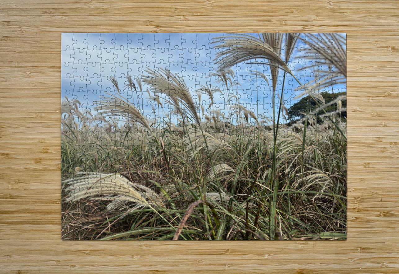 Stone Park Jeju South Korea 1 Jimmy Roy Photos Puzzle printing