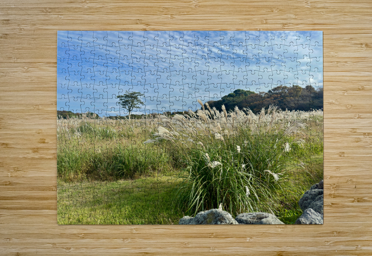 Stone Park Jeju South Korea 2 Jimmy Roy Photos Puzzle printing