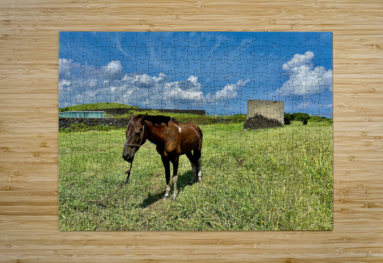 Seopjikoji Jeju South Korea 3 Jimmy Roy Photos Puzzle printing