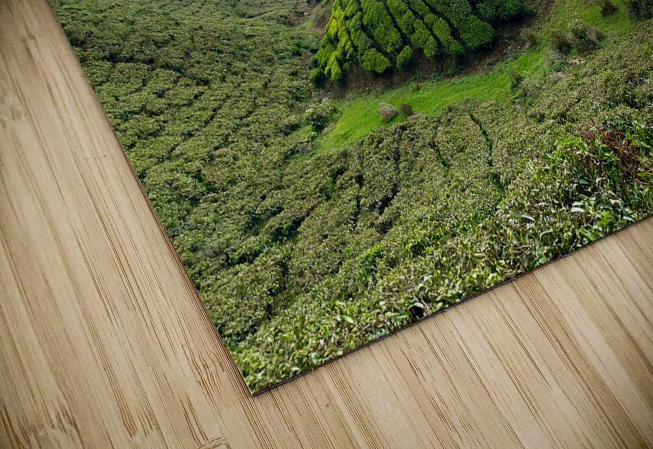 Tea Plantations 4 Jimmy Roy Photos Puzzle