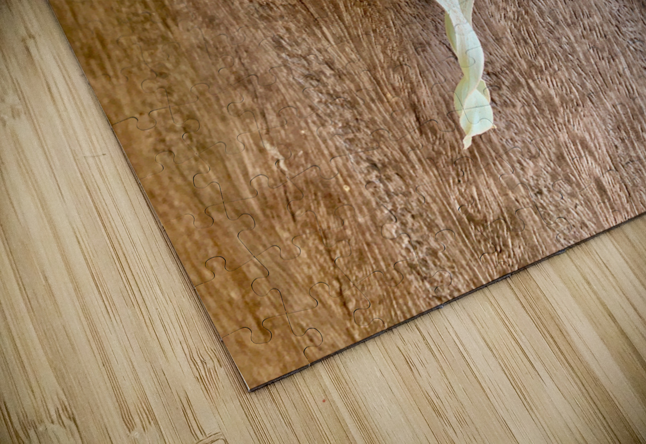 White Butterfly Jimmy Roy Photos Puzzle