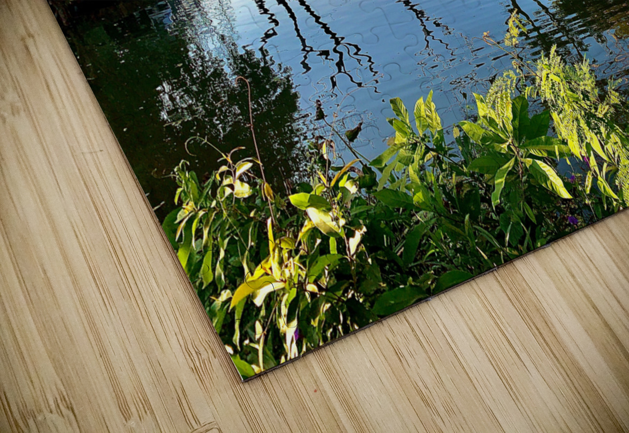 Village Reflection Jimmy Roy Photos Puzzle