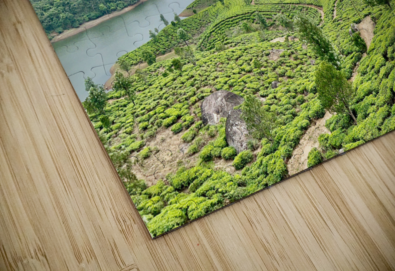 Beautiful River Through Tea Plantations Jimmy Roy Photos Puzzle