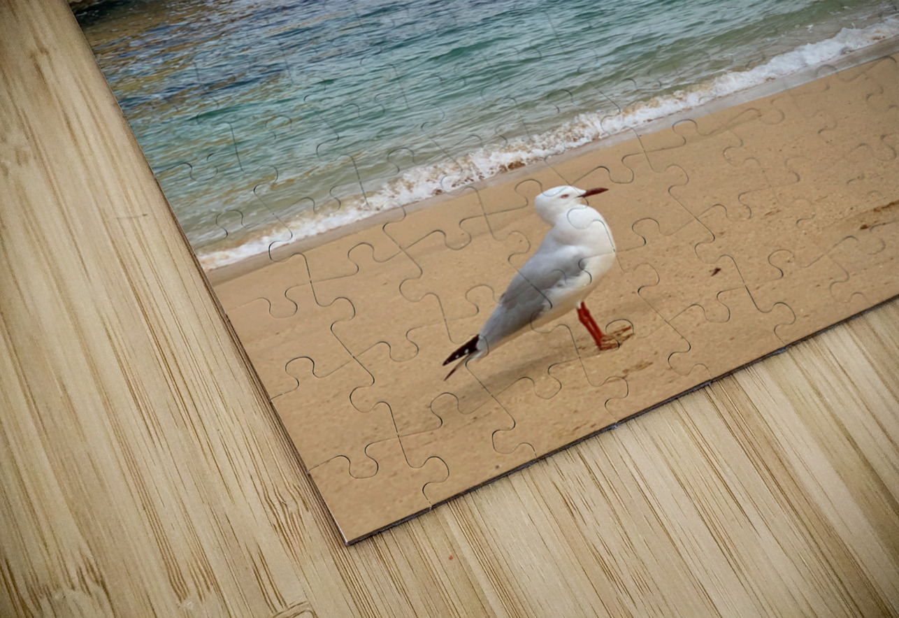 Bird on the Beach 2 Jimmy Roy Photos Puzzle
