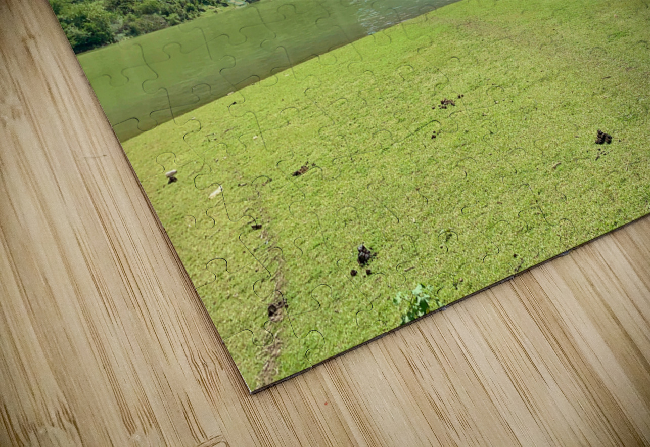 Lonely Horse Jimmy Roy Photos Puzzle