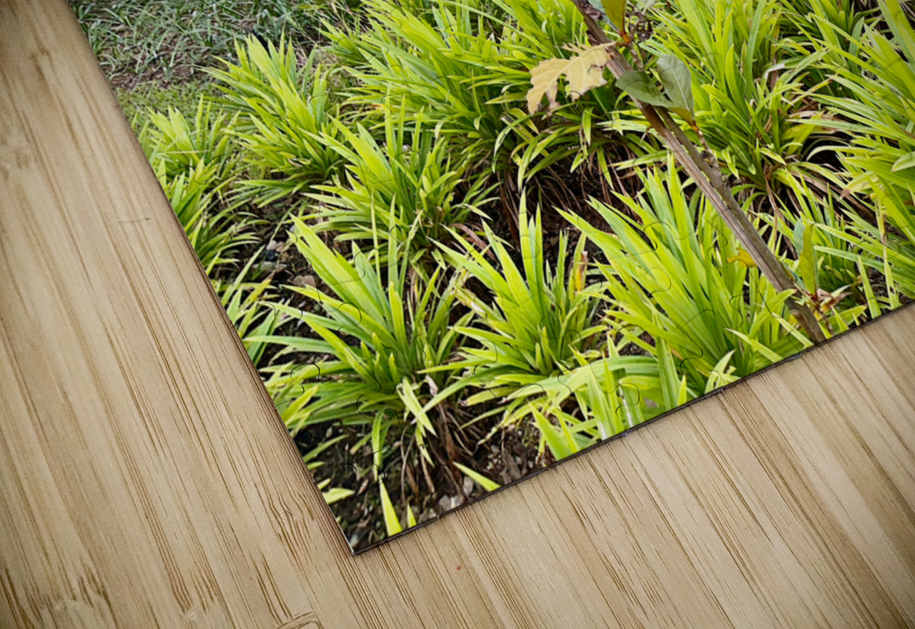 City Under the Bridge Jimmy Roy Photos Puzzle