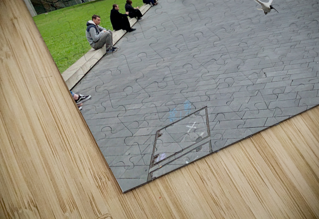 Fly for the Cruise Jimmy Roy Photos Puzzle