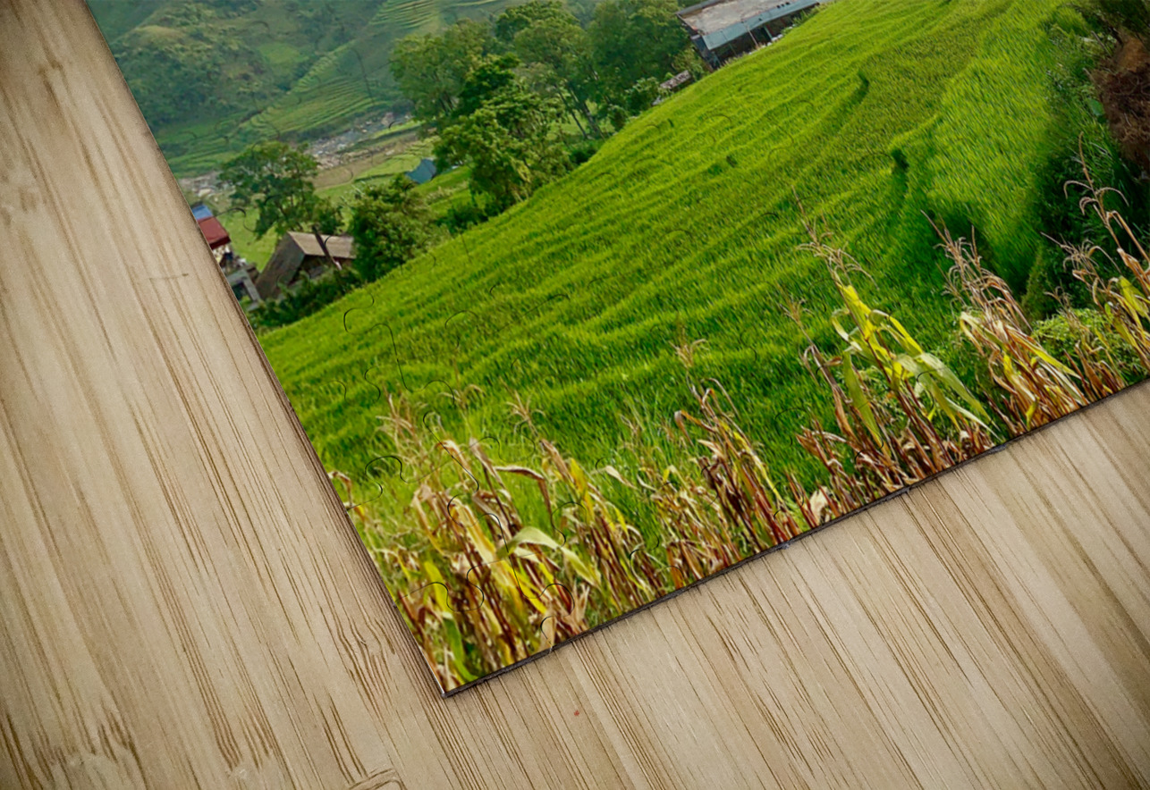 Dreamy Sunset Over the Rice Fields 2 Jimmy Roy Photos Puzzle