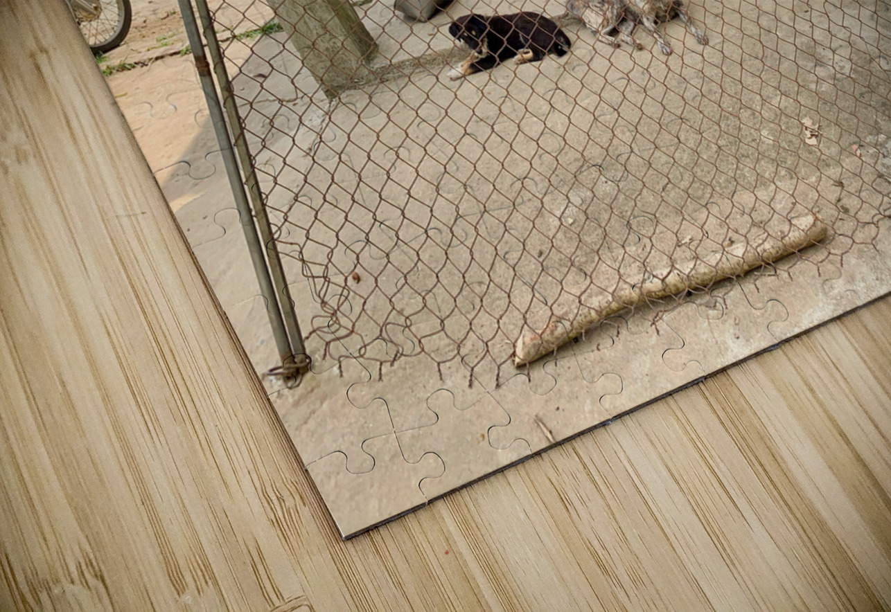 Behind the Crooked Fence Jimmy Roy Photos Puzzle