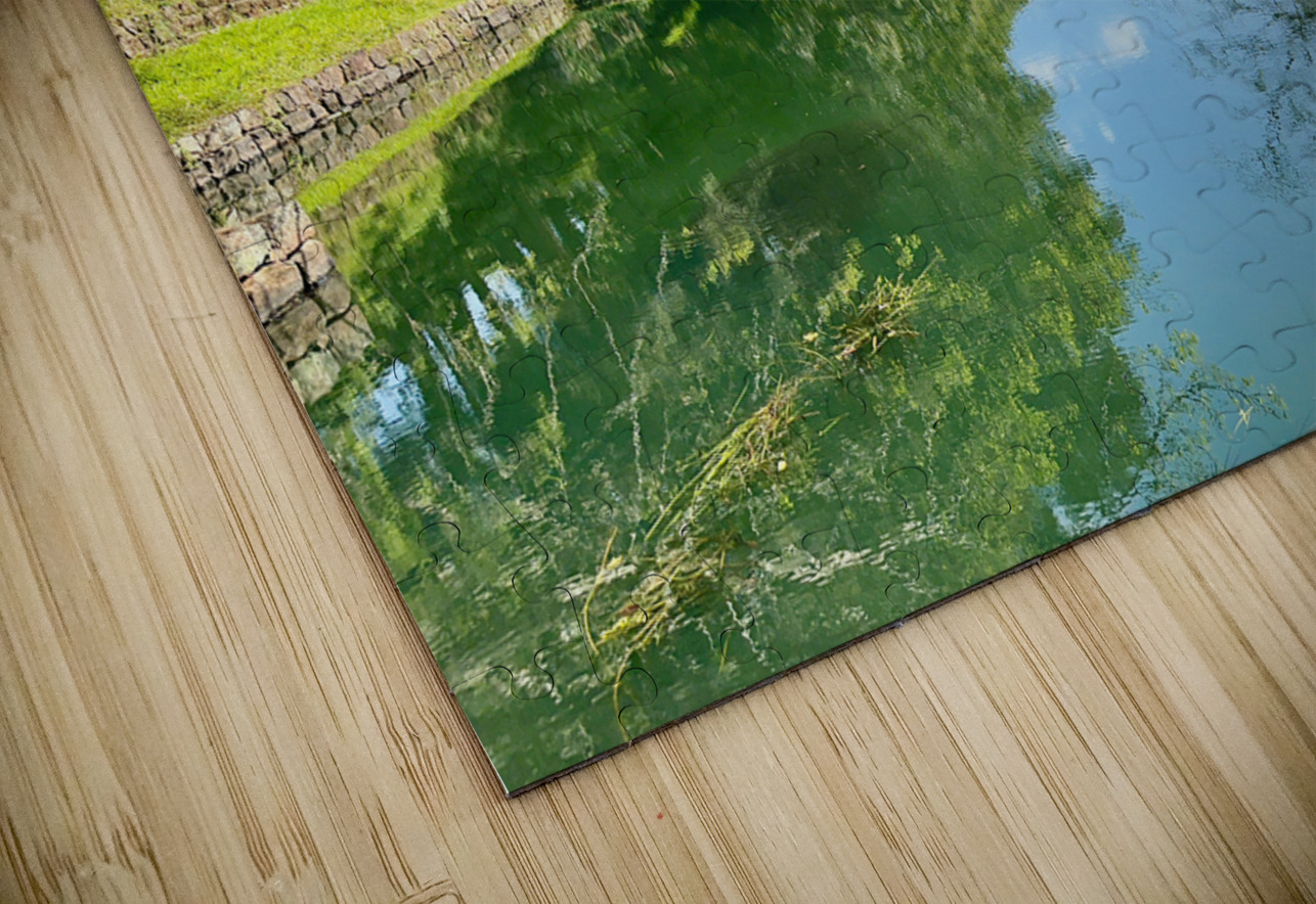 Both Side Reflections Jimmy Roy Photos Puzzle