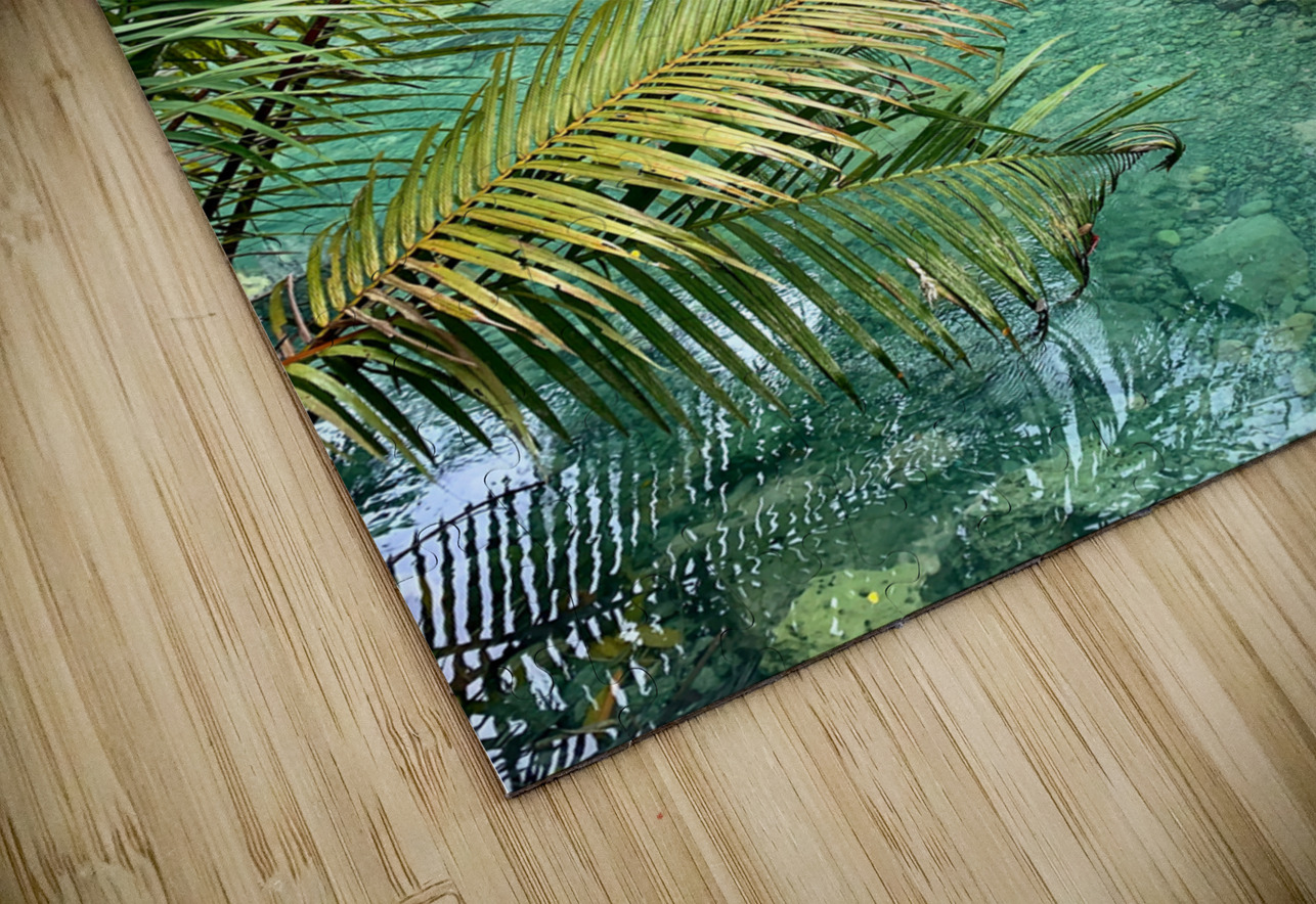 Blue Water in the Jungle Jimmy Roy Photos Puzzle