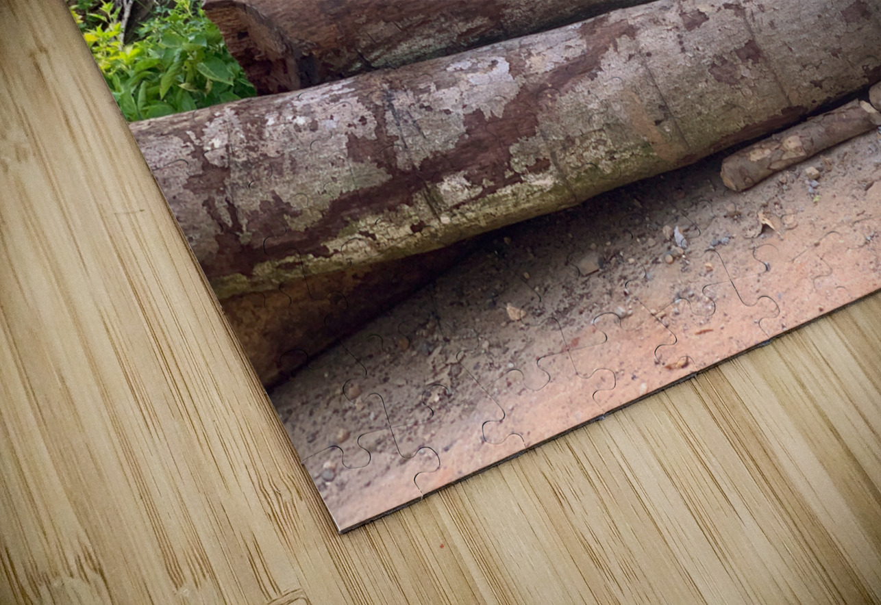 Dog Standing on Wood Jimmy Roy Photos Puzzle