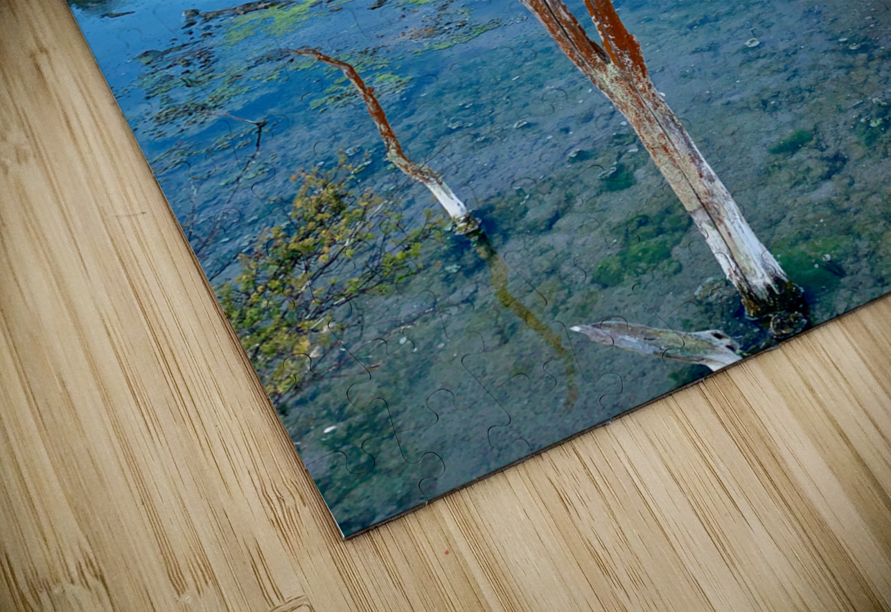 Mysterious Reflection Jimmy Roy Photos Puzzle