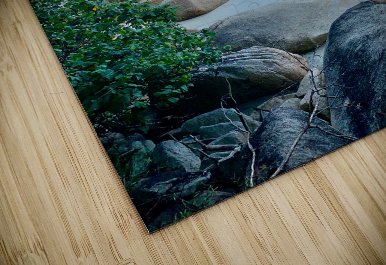 Rocky Horizon Jimmy Roy Photos Puzzle